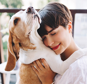 mutuelle animaux pas chère